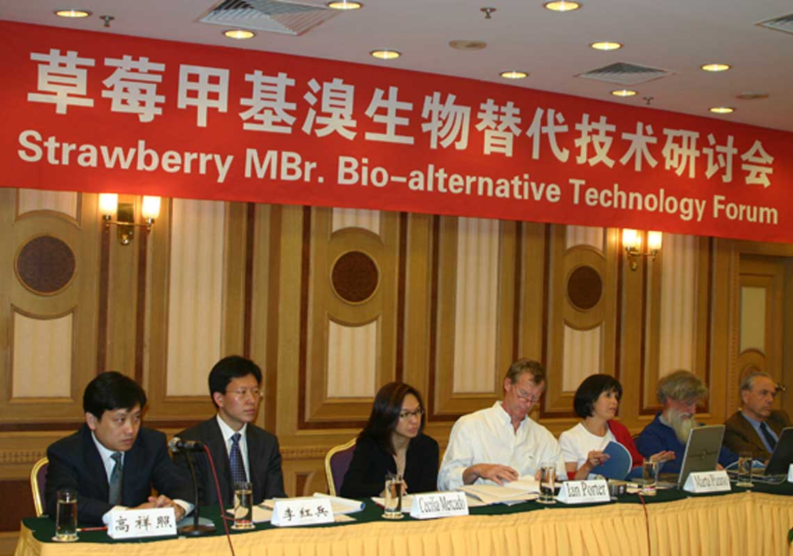 聯(lián)合國環(huán)境署、聯(lián)合國工發(fā)組織等機構出席了我公司舉行的草莓甲基溴生物替代技術研討會